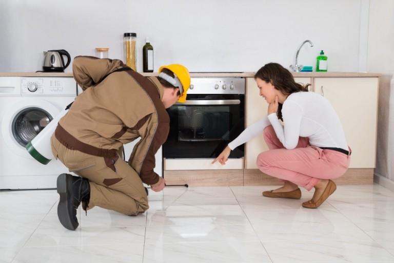 You Can Depend on Local Pest Control in Peachtree City, GA